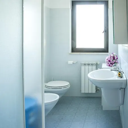 Ficus شقة بينيتو