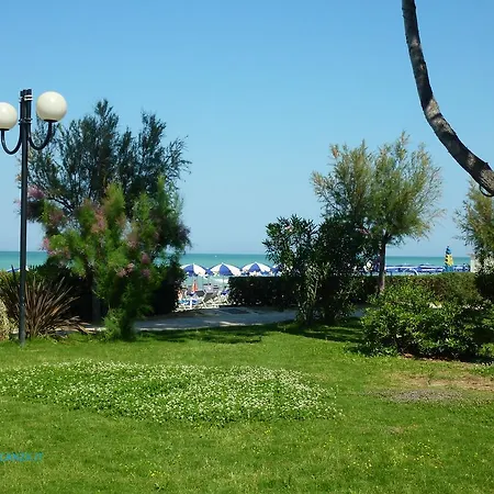 Ficus *