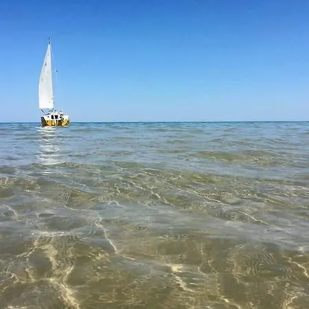 Appartamento Ficus Pineto