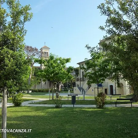 Ficus شقة بينيتو