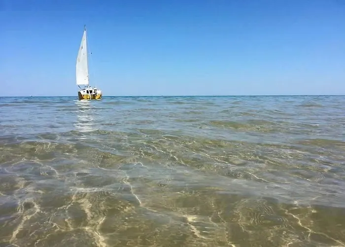 Appartamento Ficus Pineto